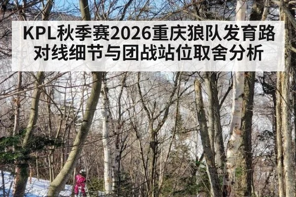 KPL秋季赛2026重庆狼队发育路对线细节与团战站位取舍分析