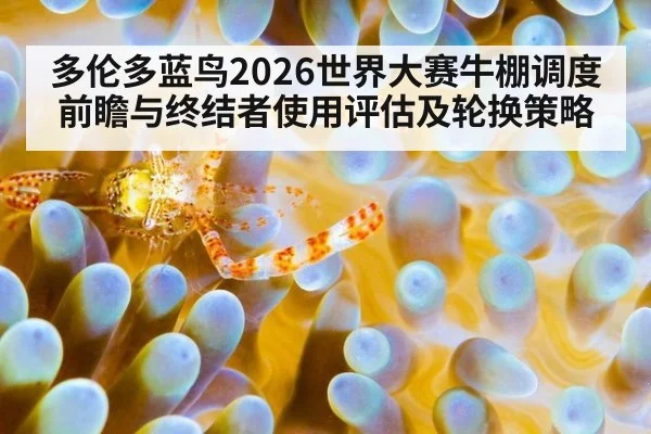 多伦多蓝鸟2026世界大赛牛棚调度前瞻与终结者使用评估及轮换策略